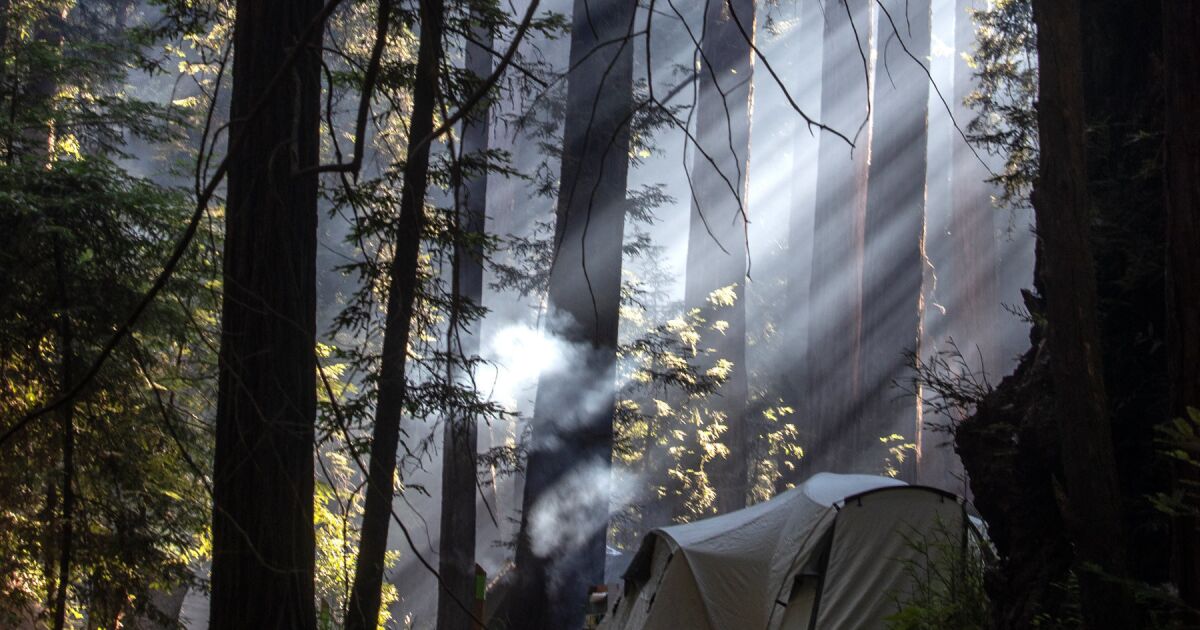 Read more about the article How to book a summer campsite: Big Sur, Leo Carrillo, Yosemite